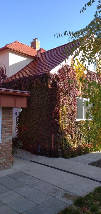 Apartmán Vinny Dom - Rumcajz - Borhaz *